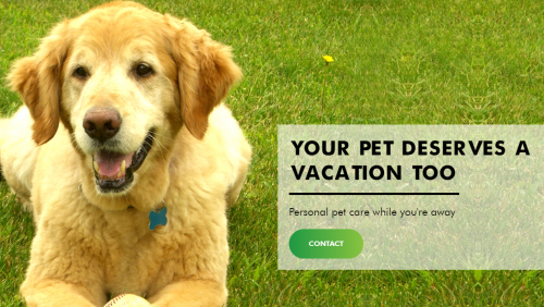 Your Pet Deserves A Vacation Too'
