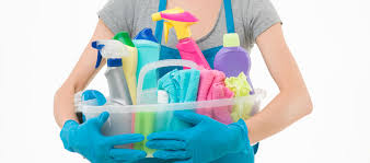 Household Cleaners Market'