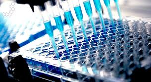 Bioanalytical Testing Services Market'