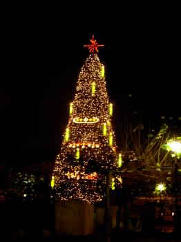Christmas Tree'