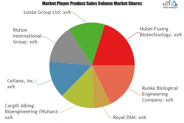 Algae Oil Omega-3 Market'