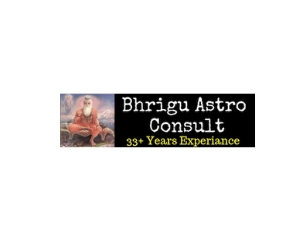 Company Logo For Bhrigu Astro Consult'