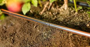 Global Micro Irrigation Market'