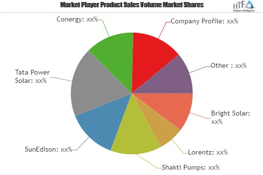Solar Pumps Market In-depth Analysis of Leading Key Players
