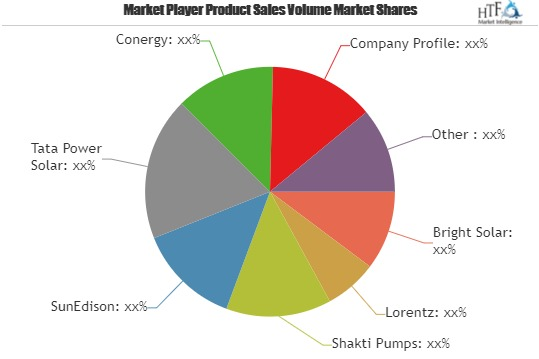 Solar Pumps Market In-depth Analysis of Leading Key Players'