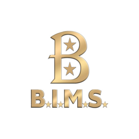 Company Logo For BIMS, Inc.'