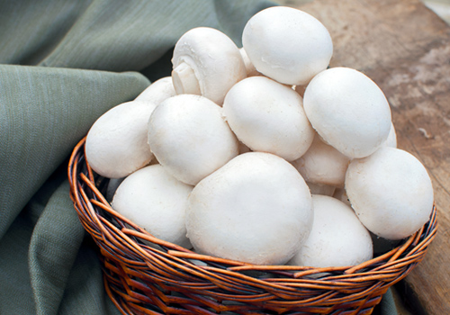 Global Organic Fresh Whole White Mushroom Market'