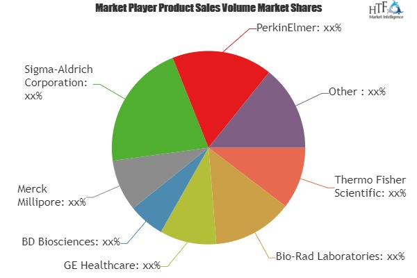 Western Blotting Market Analysis &amp;amp; Forecast For Next'