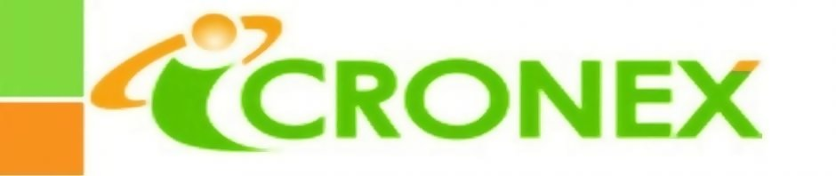 Icronex Technologies Private Limited Logo