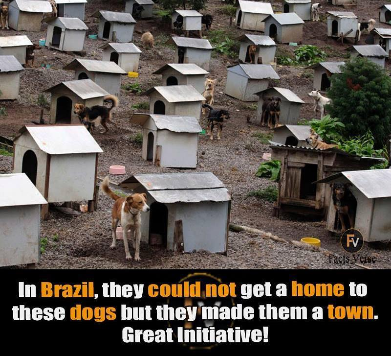 Company Logo For Facts Verse'