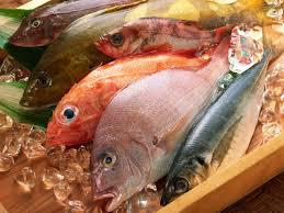 Frozen Sea Food Market'