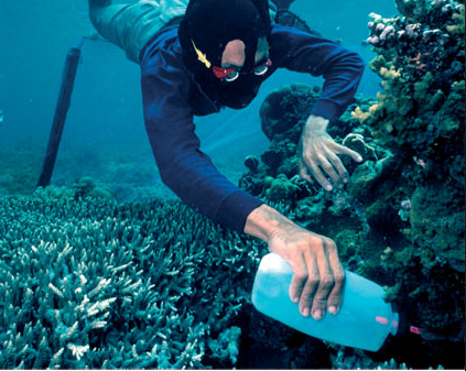 Marine-derived Drugs Market