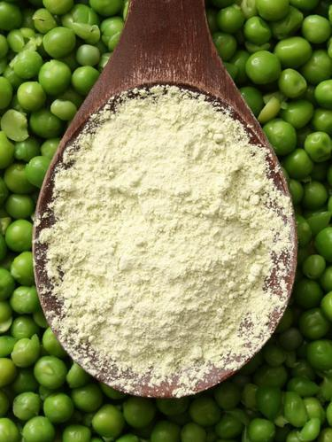 Pea Protein Market'