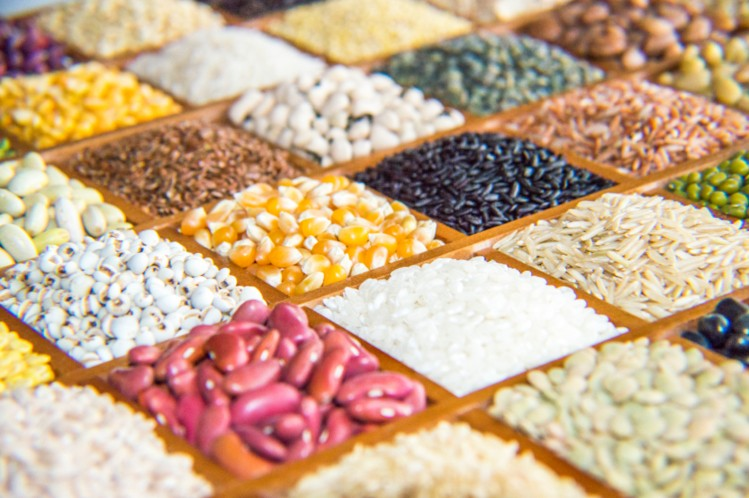 Biofortification Market