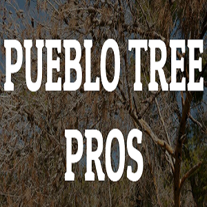 Company Logo For Pueblo Tree Pros'