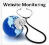 Website Monitoring Services Market'