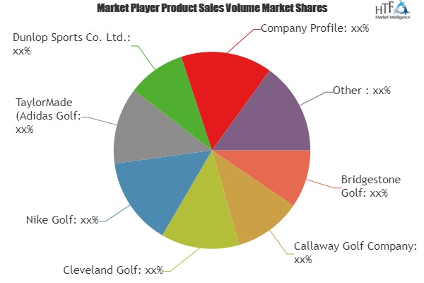 Golf Balls Market Astonishing Growth by 2023'