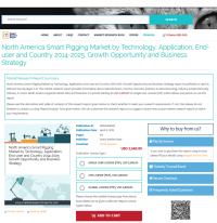 North America Smart Pigging Market by Technology