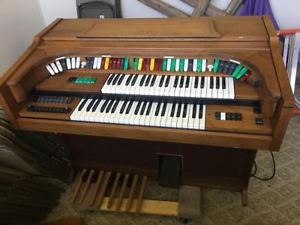 Electric Organ Market