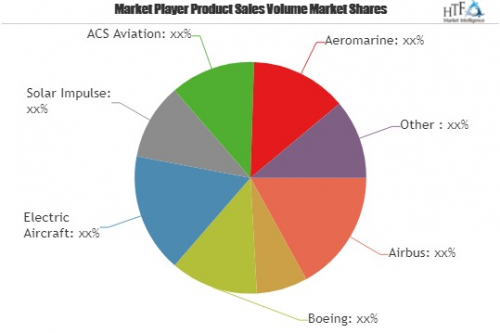 Light Electric Aircraft Market Comprehensive Study by Leadin'