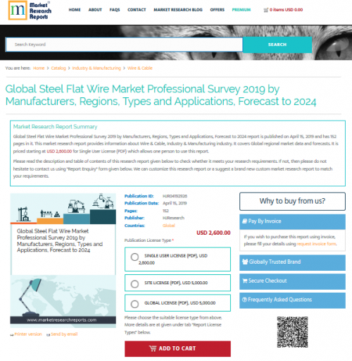 Global Steel Flat Wire Market Professional Survey 2019'