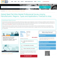 Global Steel Flat Wire Market Professional Survey 2019