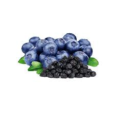 Dried Blueberries Market'