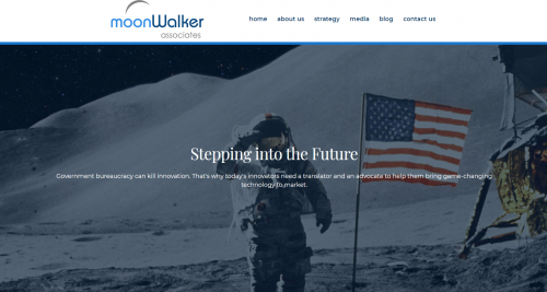 Snapshot of moonWalker Associates Homepage'