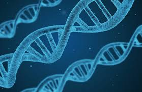 Genetic Engineering Market
