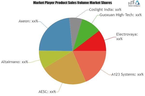 Lithium Battery Market'