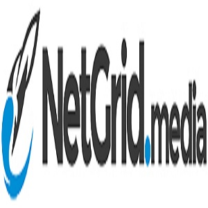 Company Logo For NetGrid Media'