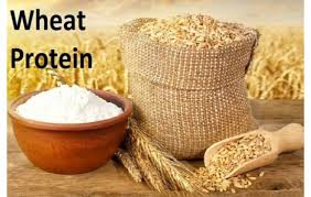 Global Wheat Protein (Wheat Gluten) Market'