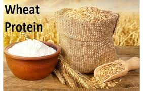 ﻿Global Wheat Protein (Wheat Gluten) Market'