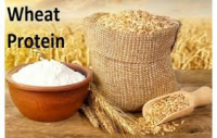 ﻿Global Wheat Protein (Wheat Gluten) Market