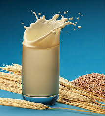 Global Malted Milk Food Market'