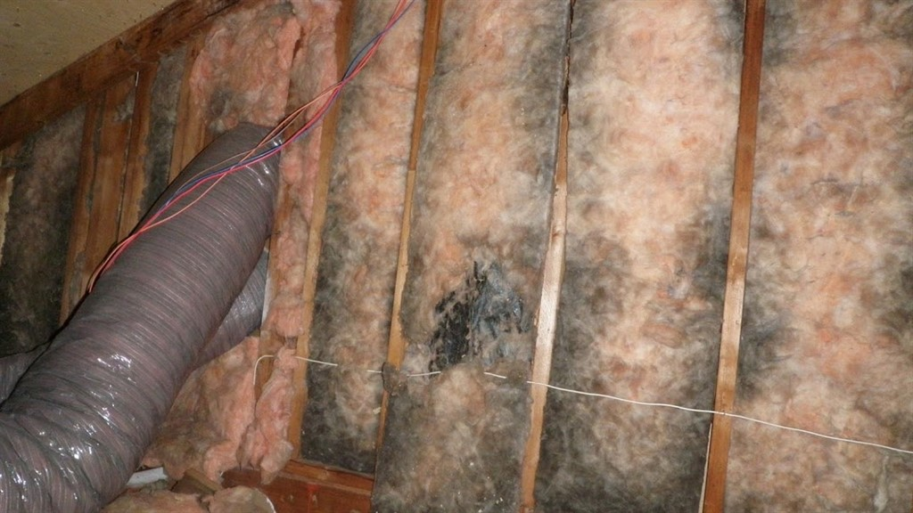 Company Logo For Livermore Attic Insulation Pros'