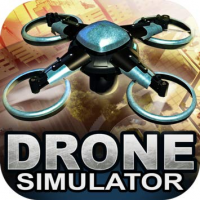 Drone Simulators Market