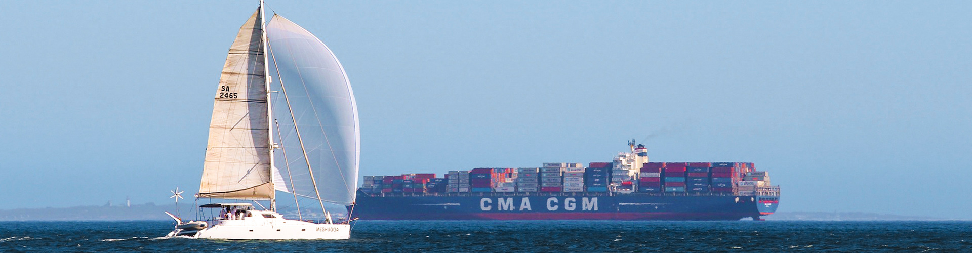 Automatic Identification Systems Market