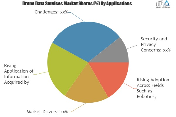 Drone Data Services Market'