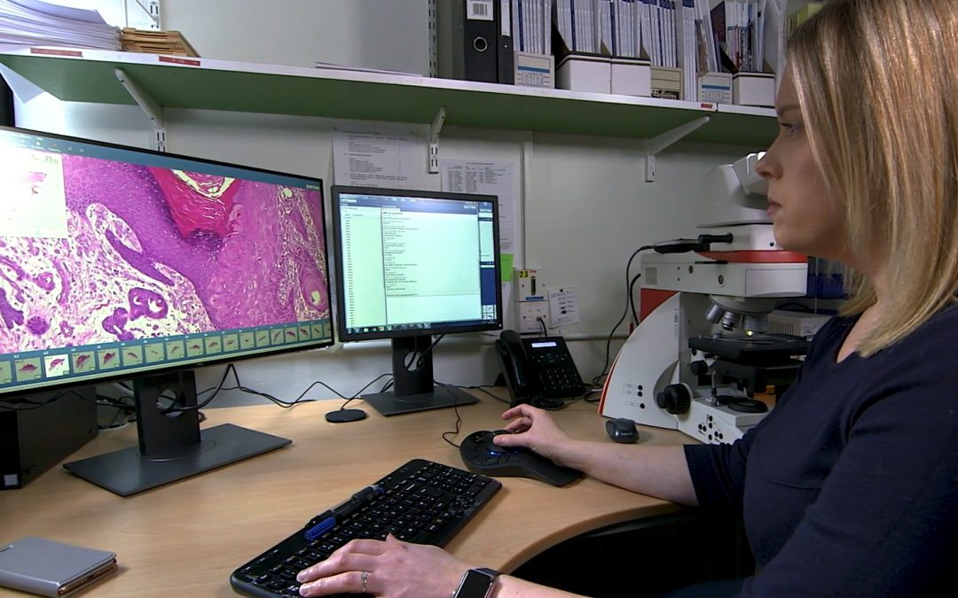 Digital Pathology Market'