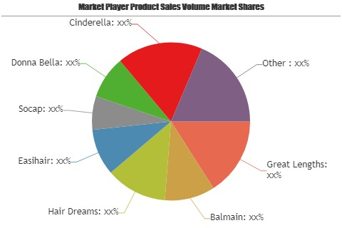 Hair Extension Market'