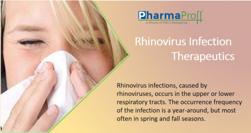 Rhinovirus Infection Therapeutics Pipeline'