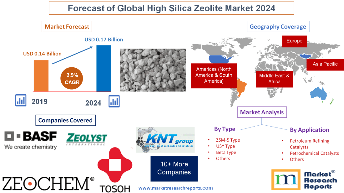 Forecast of Global High Silica Zeolite Market 2024'