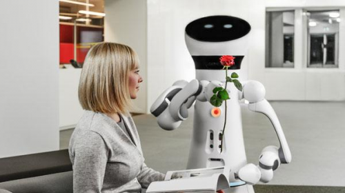 Household Service Robots Market'