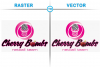 Company Logo For Raster to Vector'