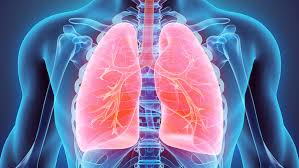 Global Interventional Pulmonology Market'