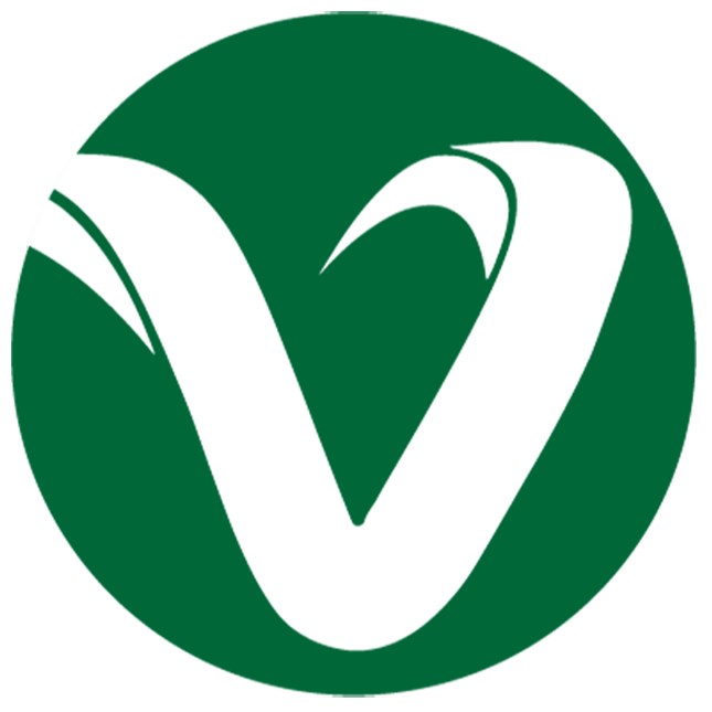 Viacon Marketing And Technologies Pvt.Ltd Logo