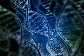 Precision Medicine Software Market