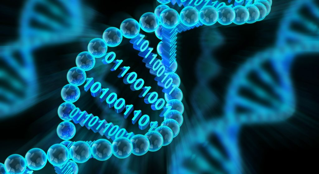 Bioinformatics Market