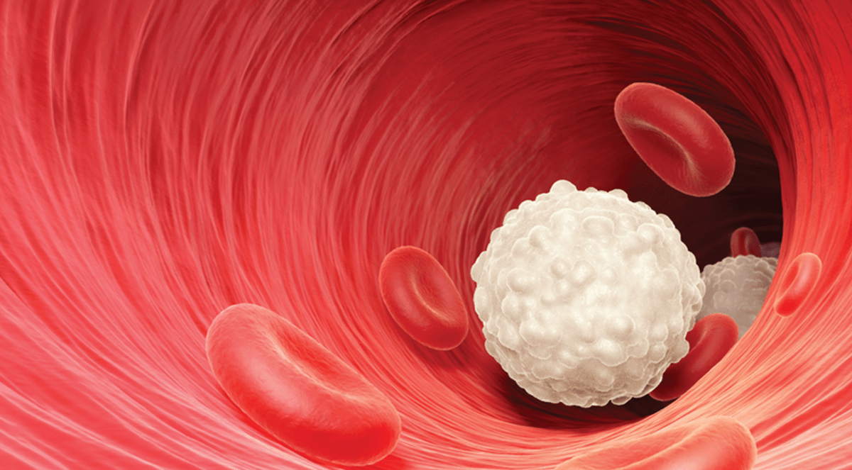 Cryptococcosis Market